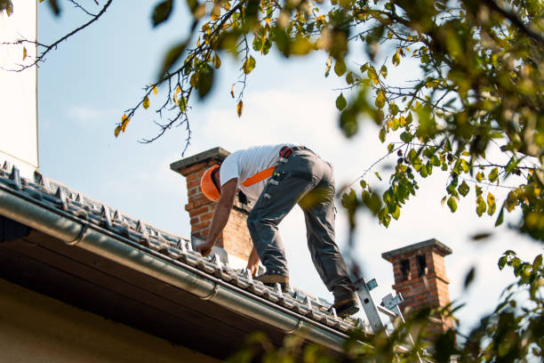 Best Slate Roofing Contractor  in Brodhead, WI