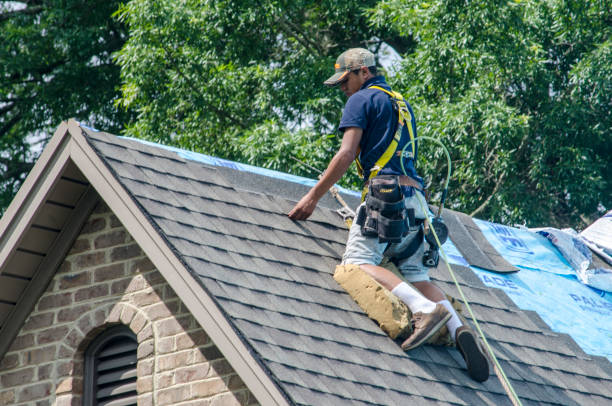 Best Roof Gutter Cleaning  in Brodhead, WI